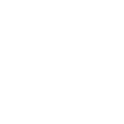 premium-repair-icon