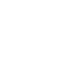 premium-repair-icon